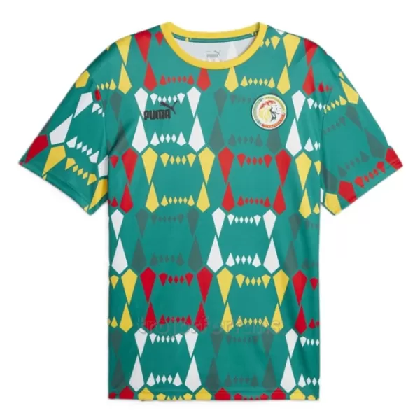 Senegal Hemmatröja 2023/24