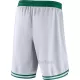 Boston Celtics Shorts Association Edition Swingman