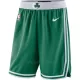 Boston Celtics Shorts Icon Edition Swingman