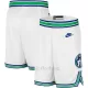 Minnesota Timberwolves Shorts Hardwood Classic Edition Swingman