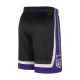 Sacramento Kings Shorts Icon Edition Swingman Svart