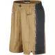 Toronto Raptors Shorts City Edition Swingman