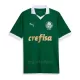 Palmeiras Hemmatröja 2024/25