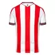 Stoke City Hemmatröja 2024/25